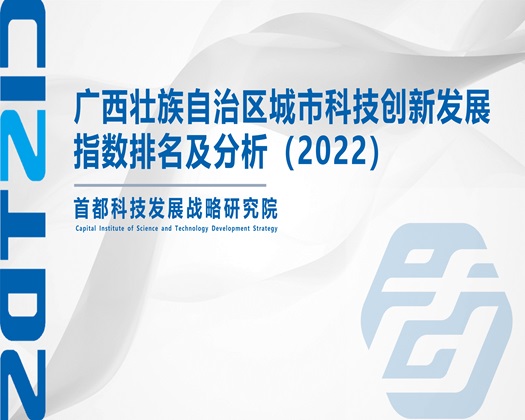 免费看插屄的网站【成果发布】广西壮族自治区城市科技创新发展指数排名及分析（2022）